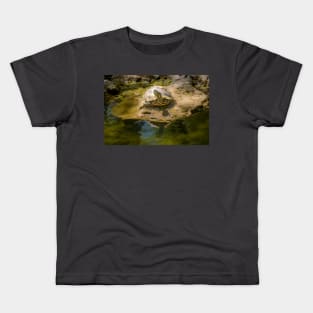 Turtle Enjoying the Sunshine Kids T-Shirt